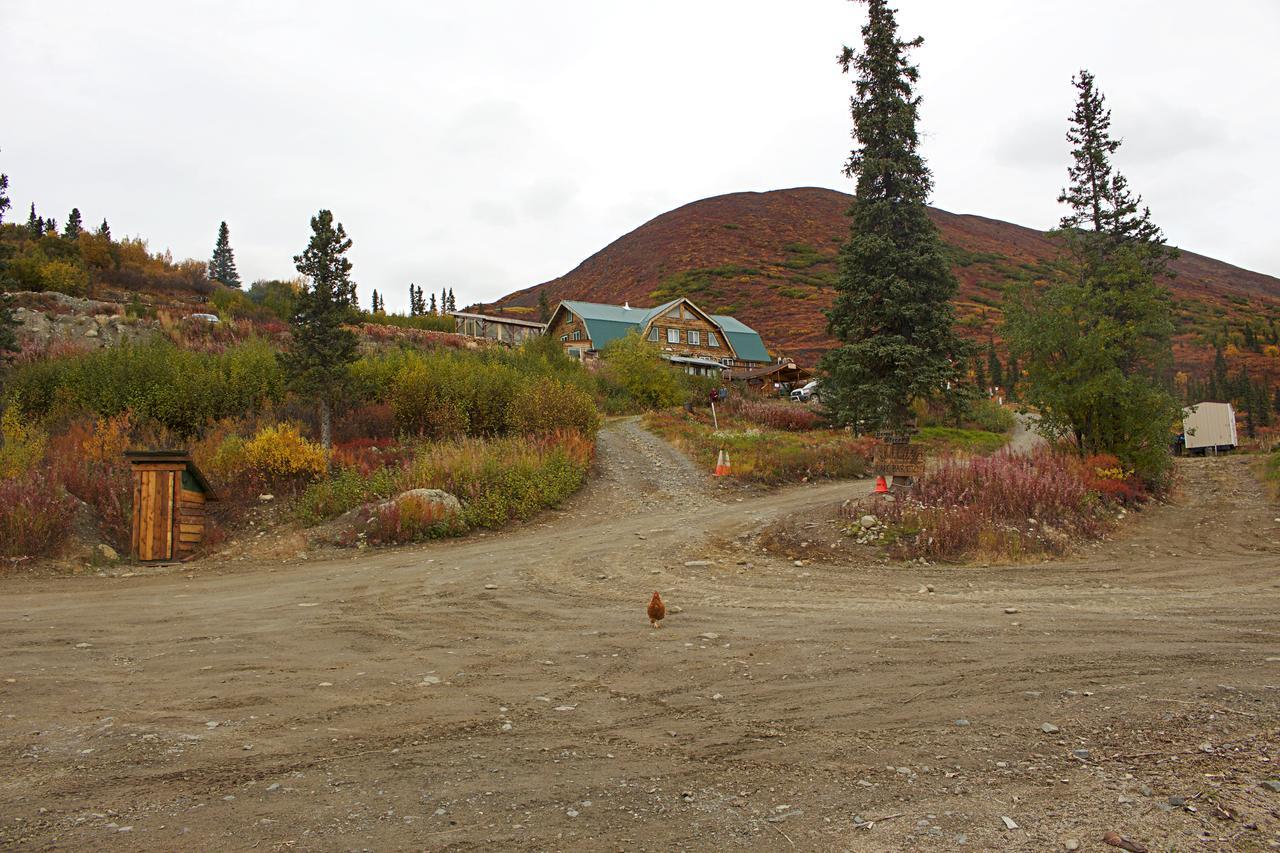 Alpine Creek Lodge Cantwell Dış mekan fotoğraf