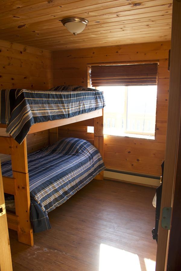 Alpine Creek Lodge Cantwell Dış mekan fotoğraf