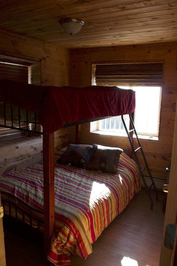 Alpine Creek Lodge Cantwell Dış mekan fotoğraf